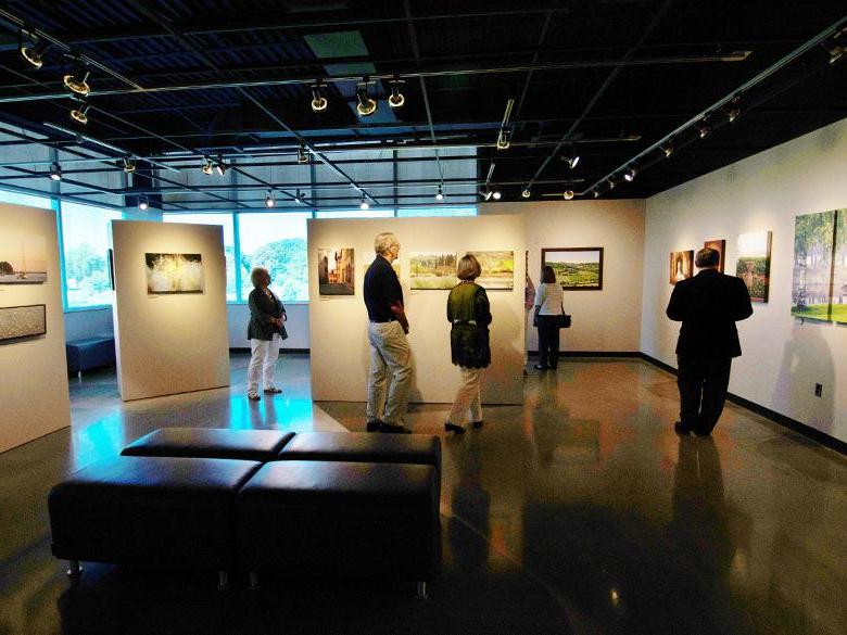 人们在罗纳德博物馆欣赏艺术品. 德龙画廊